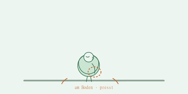 Sittichweibchen sitzt aufgeplustert am Käfigboden