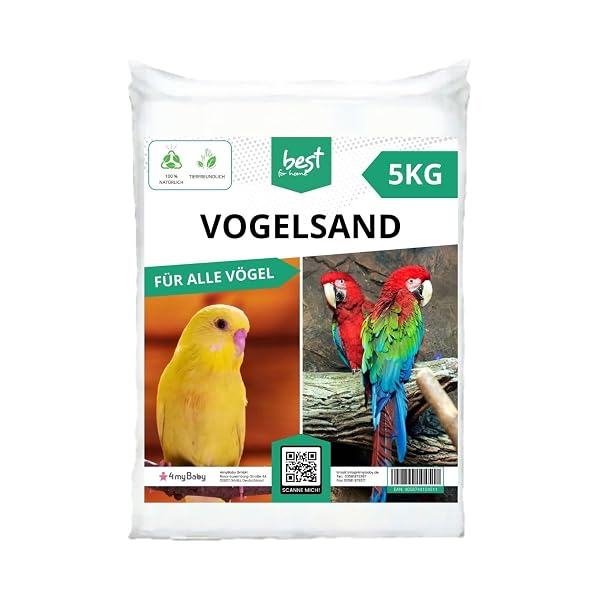 BestForHome Sand