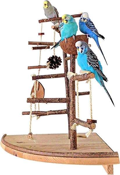 Vogelgaleria Wandspielplatz